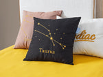 Astro Kırlent No:01